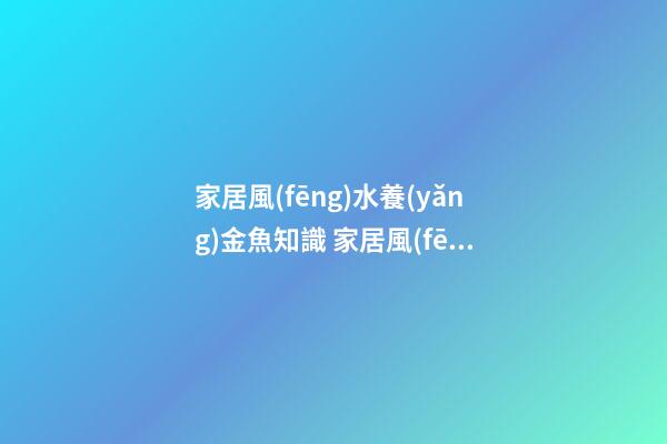 家居風(fēng)水養(yǎng)金魚知識 家居風(fēng)水養(yǎng)金魚禁忌
